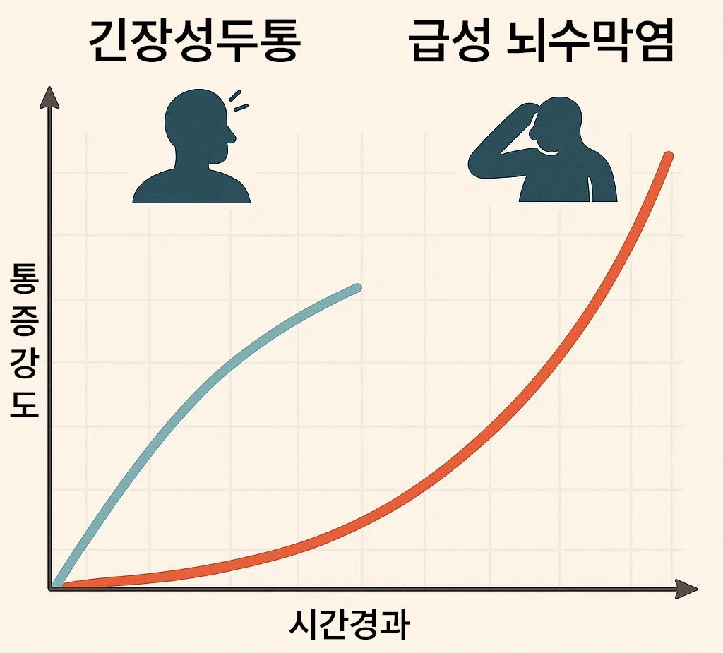 시간 경과에 따른 두통과 뇌수막염 통증 곡선