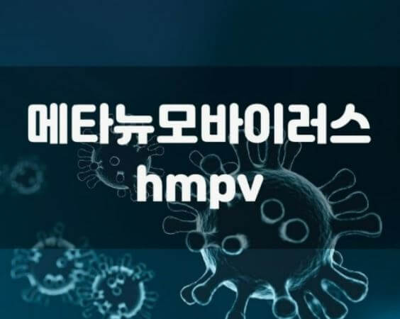 HMPV 중국 메타뉴모바이러스 급증 원인과 전염