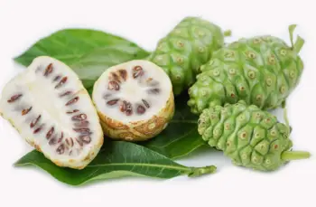 노니 효능 및 영양성분&amp;#44; 부작용과 주의점