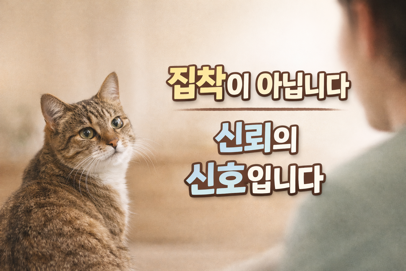 고양이가 보호자에게 보내는 애착 신호 / 의존이 아니라, 신뢰가 쌓였다는 뜻입니다