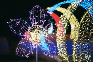 별빛축제 이미지 1