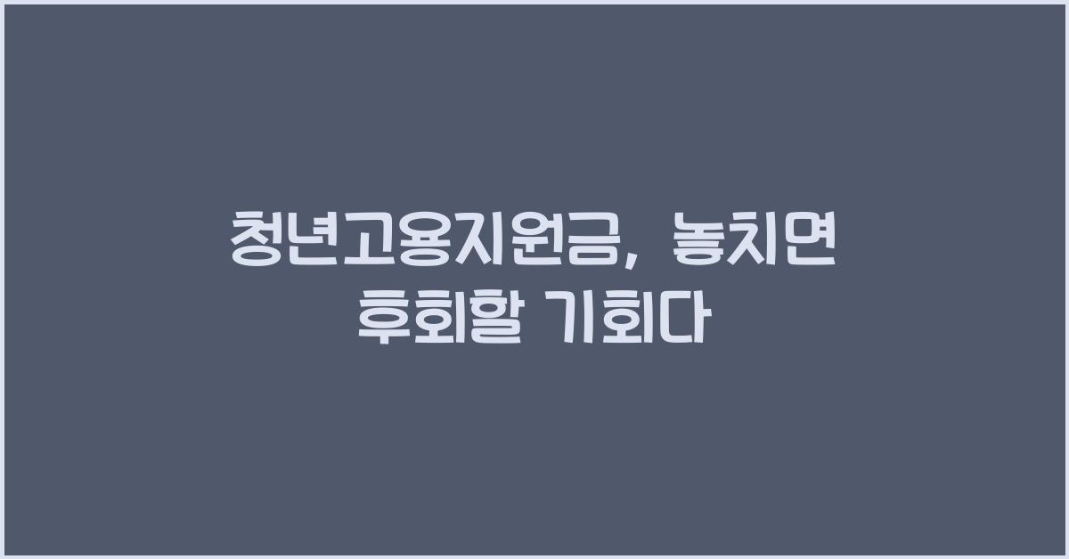 청년고용지원금