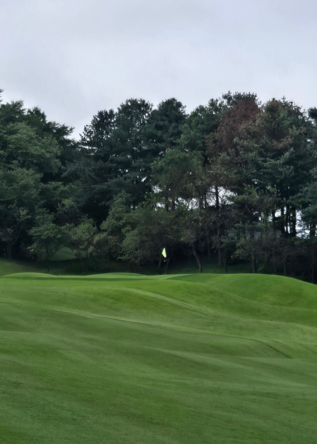 아시아나 CC 동코스 그린주변 언듈레이션