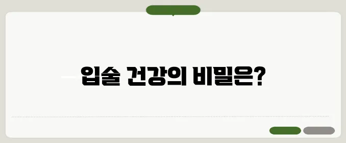 입술이 부르트는 이유 면역력 저하부터 영양 부족까지