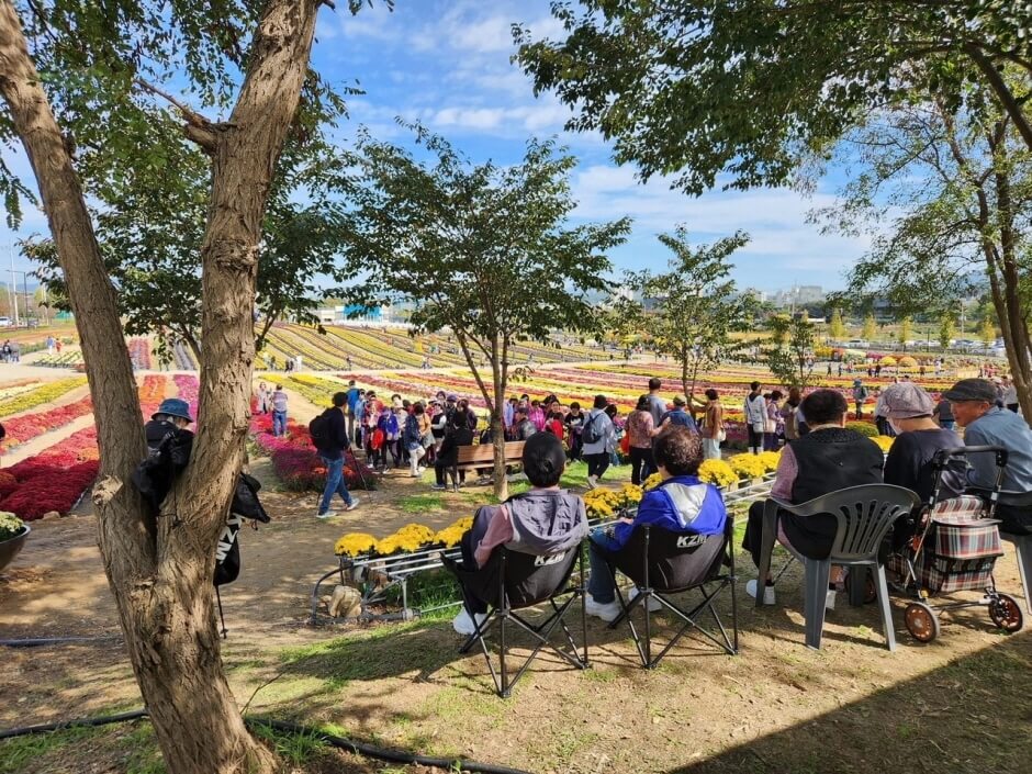 2024연천국화축제