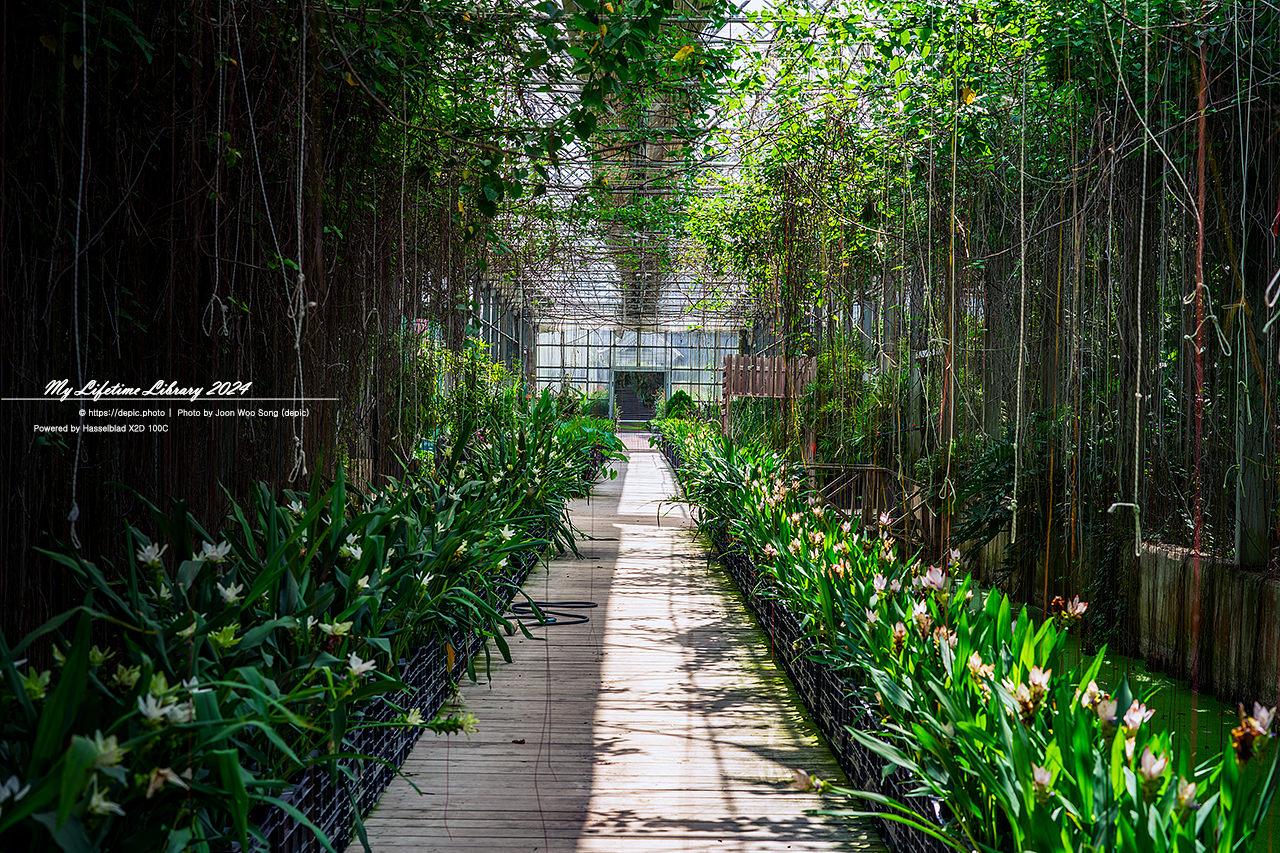 아산 세계꽃식물원 꽃