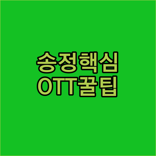 송정 해수욕장 앞 홍단 OTT 무료 ..
