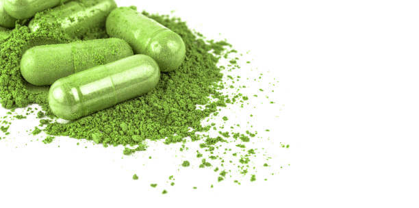 천심련 효능 6가지 및 부작용에 대해서 알아봤습니다. 천심련은 인도에서 수세기 동안 전통적으로 사용되어온 식물로&amp;#44; 최근에는 다양한 건강상의 이점이 인정되어 주목받고 있습니다. 이제는 전 세계적으로 인기 있는 건강식품으로 자리 잡았습니다. 이 글에서는 천심련의 다양한 효능과 함께 섭취할 때 주의할 점 등을 자세히 살펴보겠습니다.