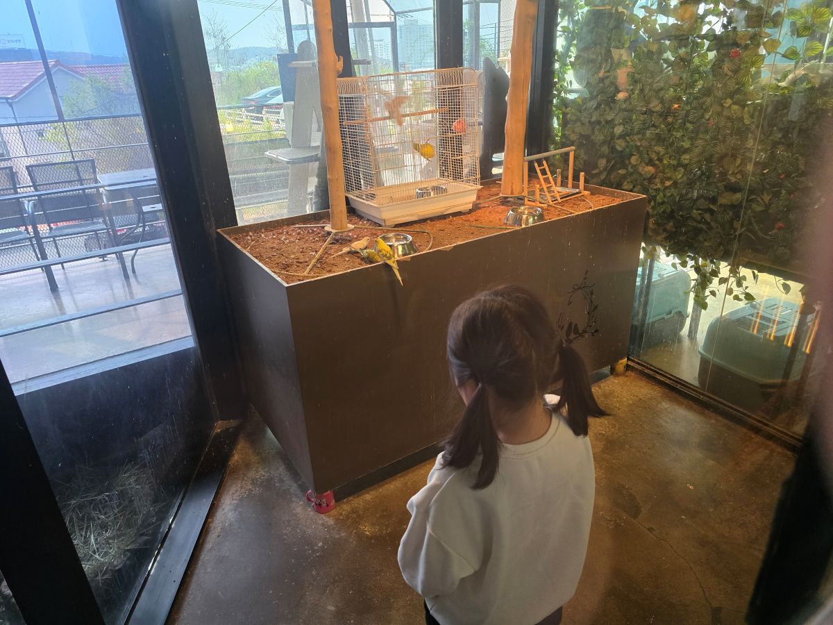 새-모이주기-체험