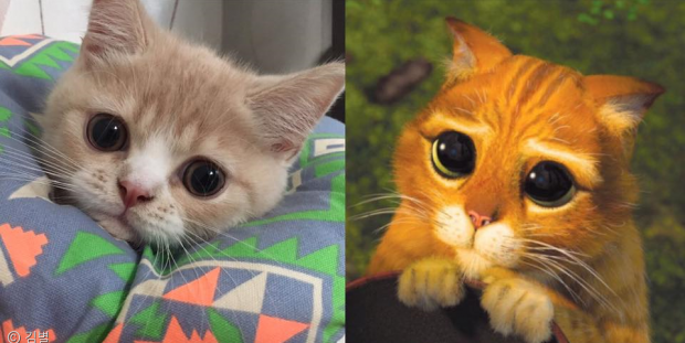 넷플릭스 어린이 애니메이션 추천