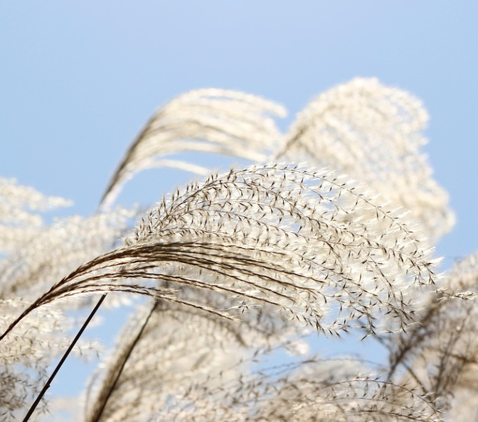 명성산 자연경관 사진