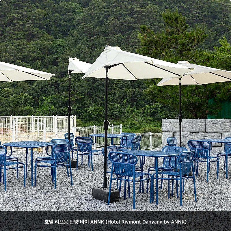 호텔 리브몽 단양 바이 ANNK (Hotel Rivmont Danyang by ANNK)_4
