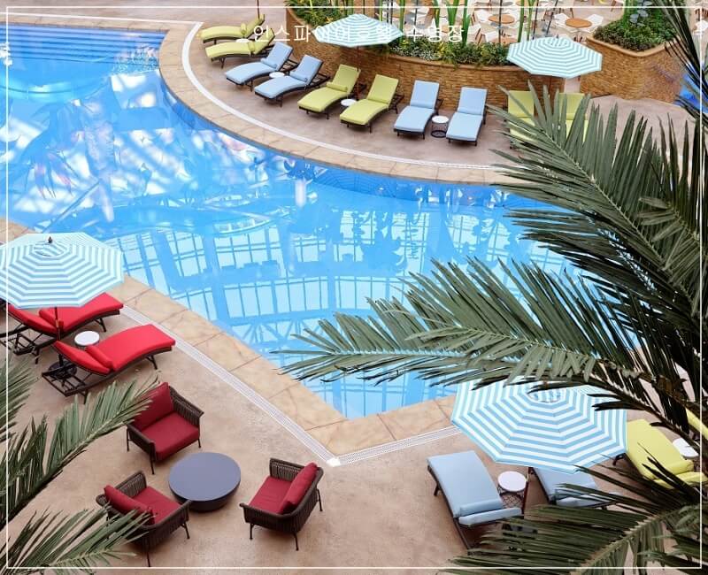 위에서 찍은 수영장 사진