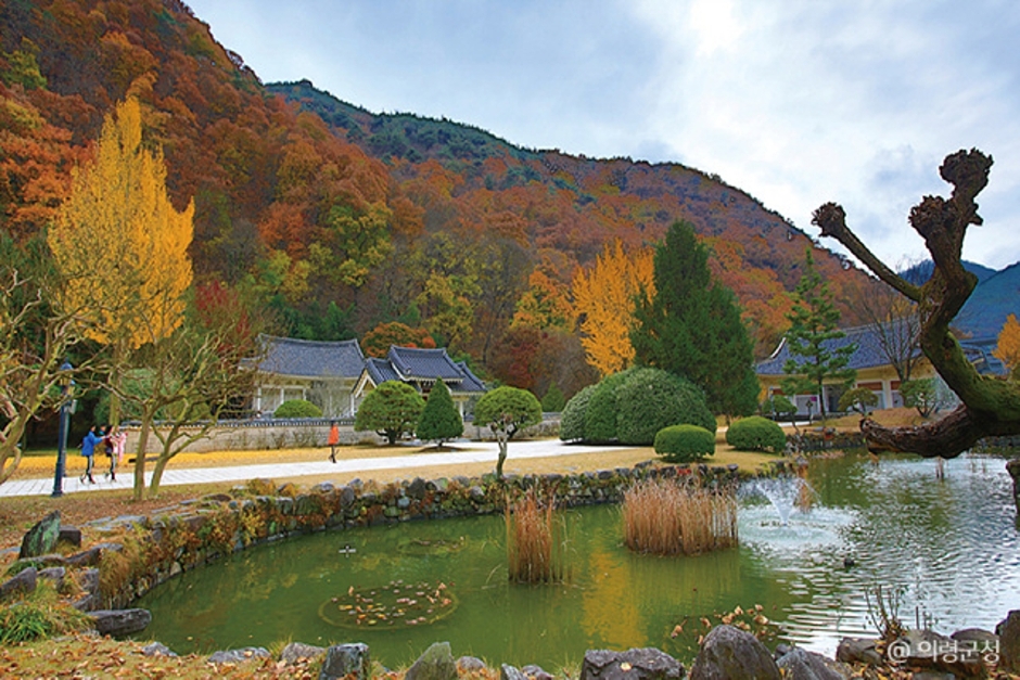 의령 가볼만한곳 베스트10