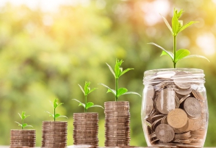 보건증_인터넷_발급_비용_항목_2