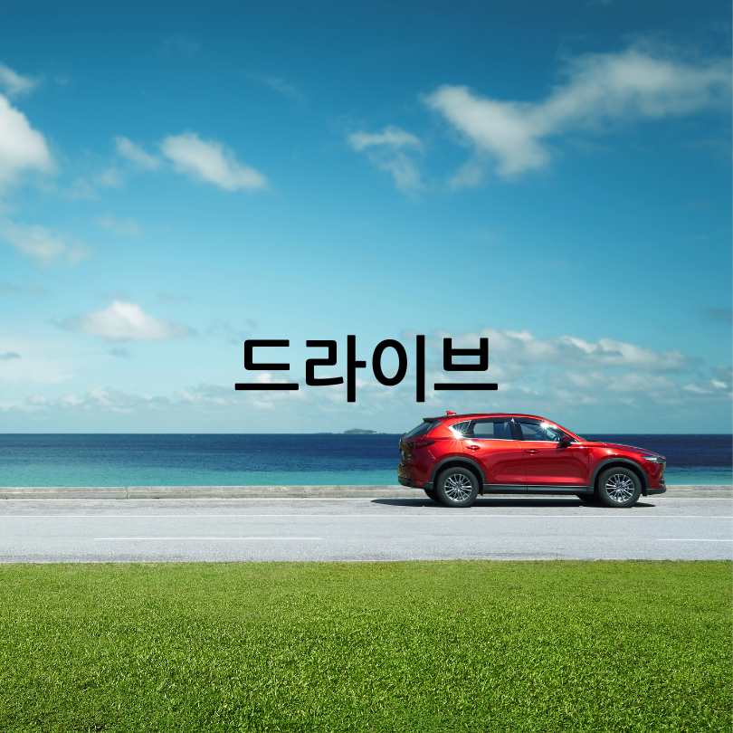 경남 고성 그레이스정원 수국축제