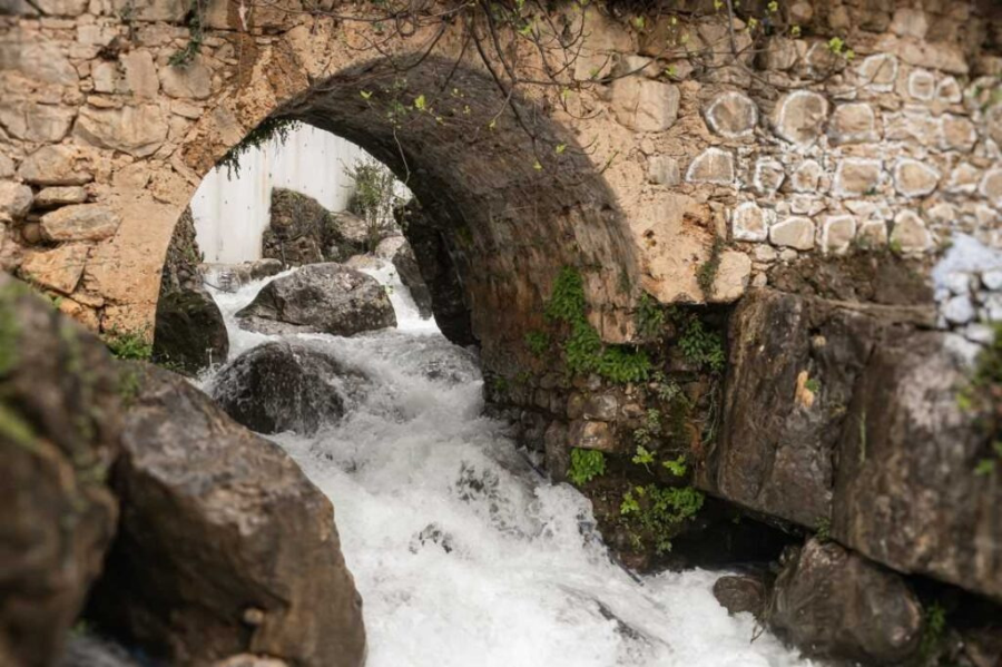 쉐프샤우엔 여행