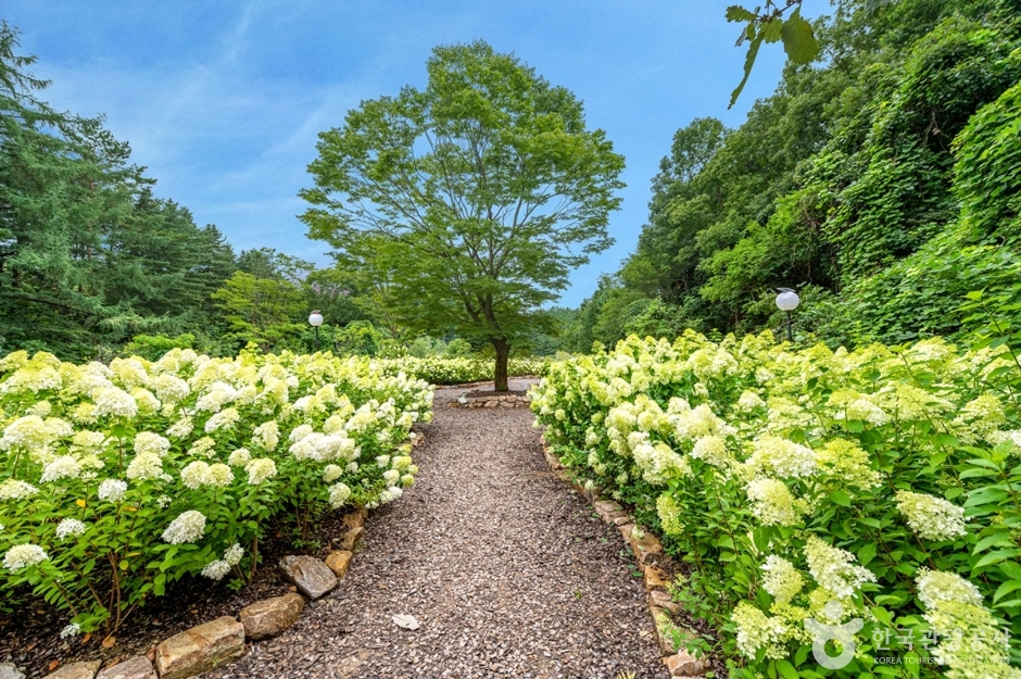 더스테이힐링파크