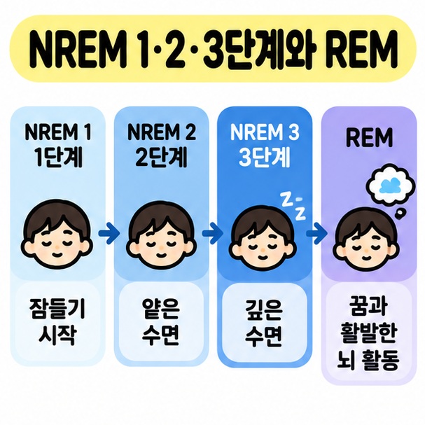 NREM 1단계와 2단계, 3단계, REM을 네 구간으로 나눠 특징을 보여주는 카드