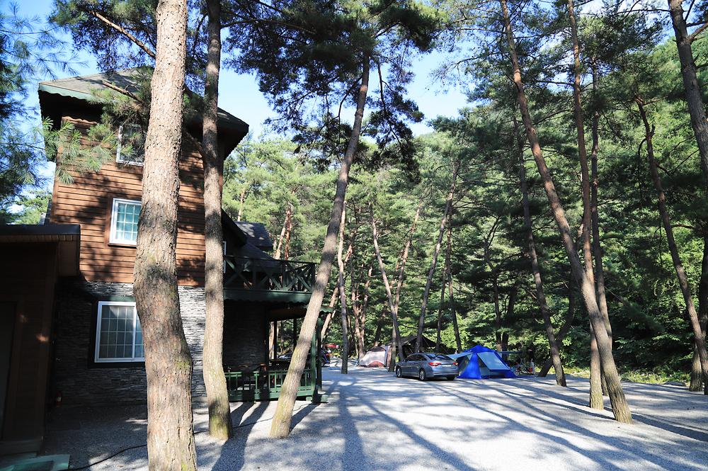 인생캠핑장, 영월 솔밭캠프장 소개