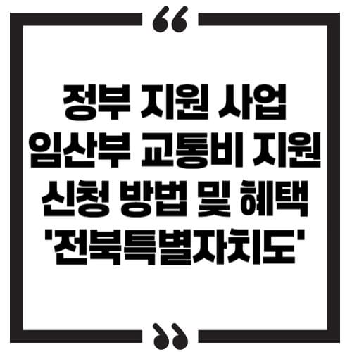 정부 지원 사업 '임산부 교통비 지원' 신청 방법 및 혜택 – 전북특별자치도