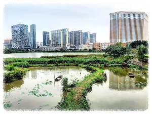 타이파 주택 박물관