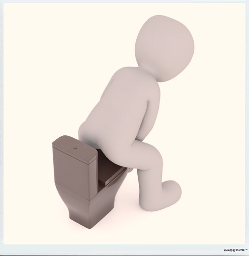 자율신경 실조증 증상_변비설사