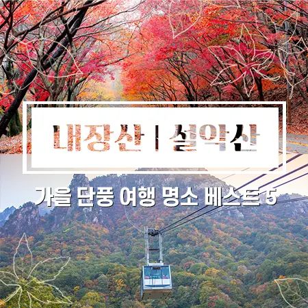 단풍 시기