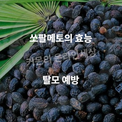 쏘팔메토의 효능