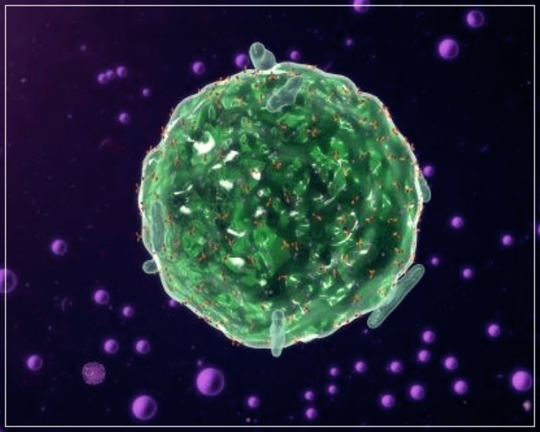 히스타민증후군에 대해 알아보자