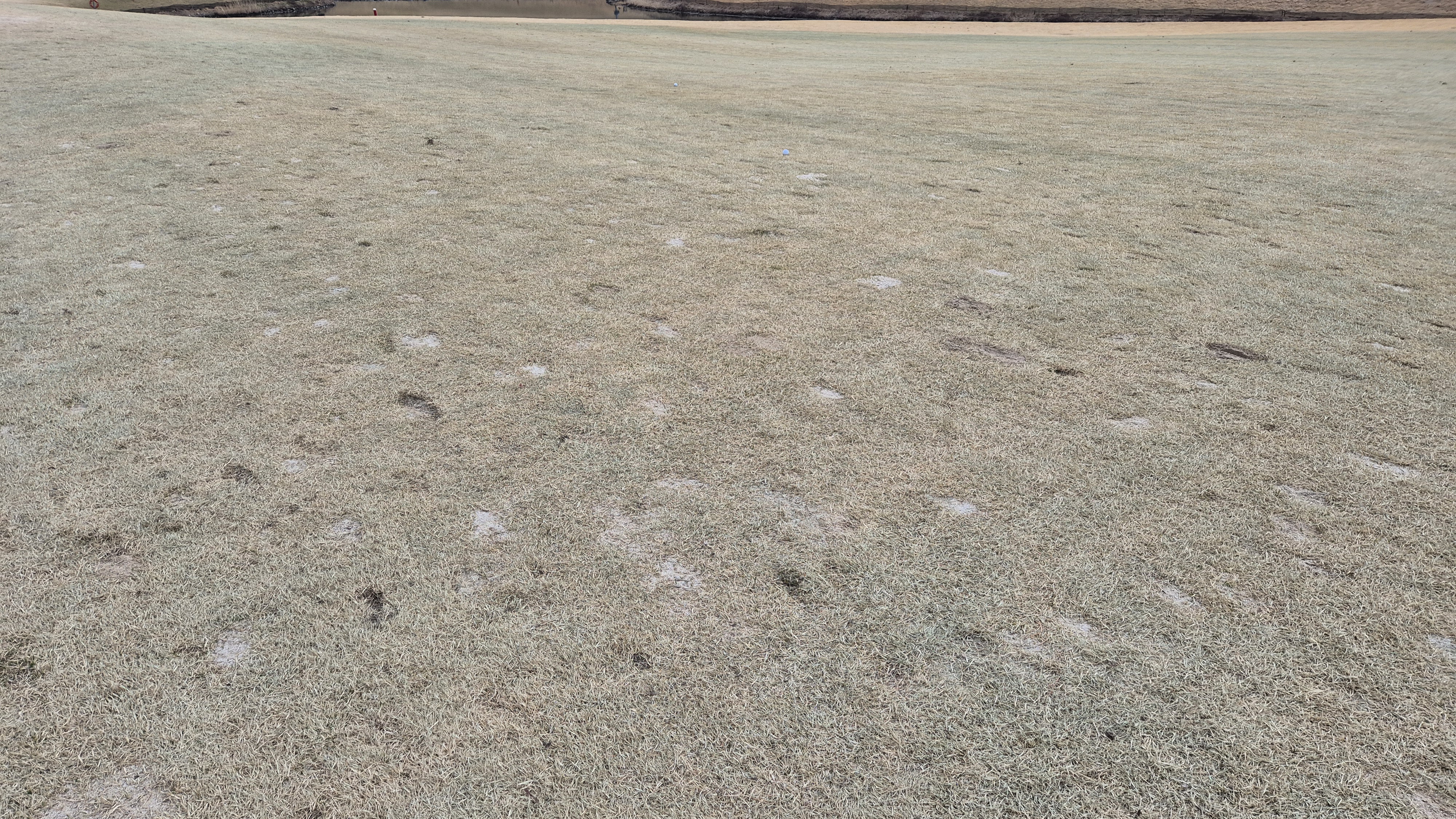 세현cc 코스 관리 상태