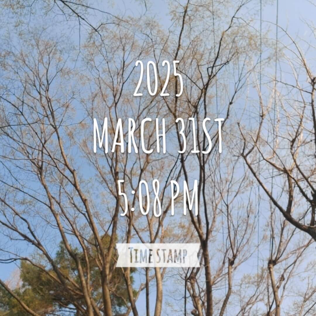 아백 올인원 강의