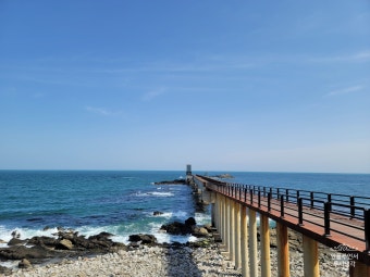 6시 내고향에 나온 게좋은강룡호&amp;강룡수산 직접 가보니 놀랐다
