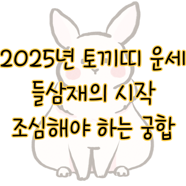 2025년 토끼띠 출생연도별 운세 궁합 ❘ 들삼재 시작의 해 표지