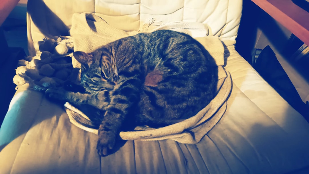 Sleep.