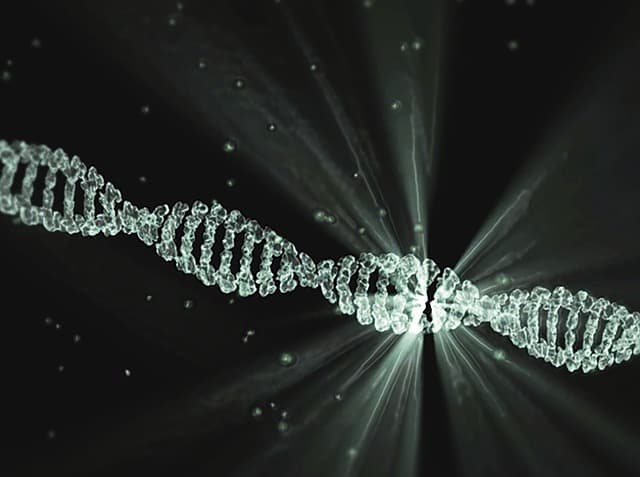 RNA 프로그래밍과 DNA 프로그래밍