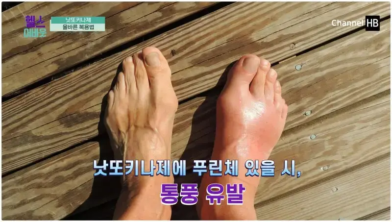 혈전용해제 나토키나제