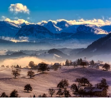 겨울철 무우보관법