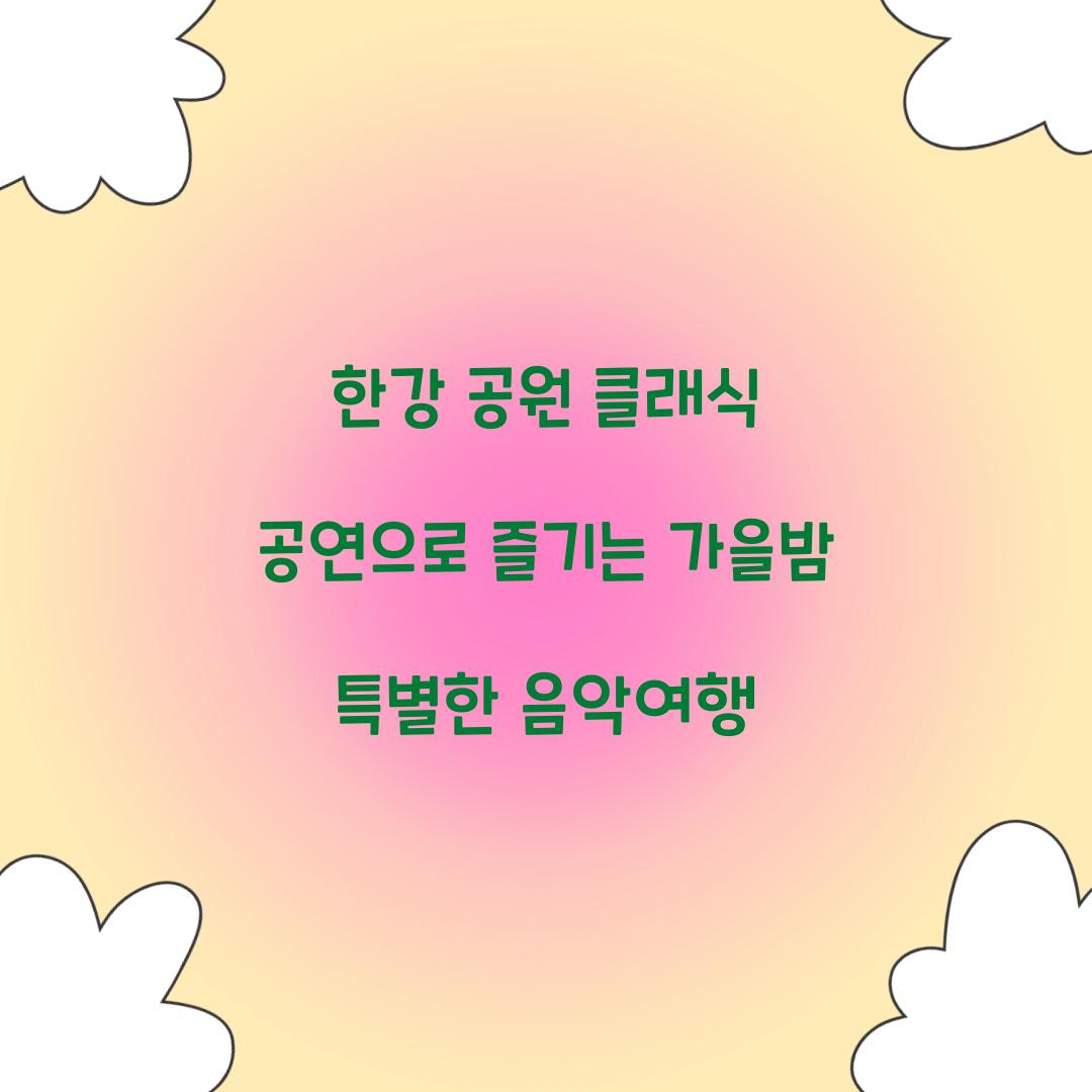 한강 공원 클래식 공연