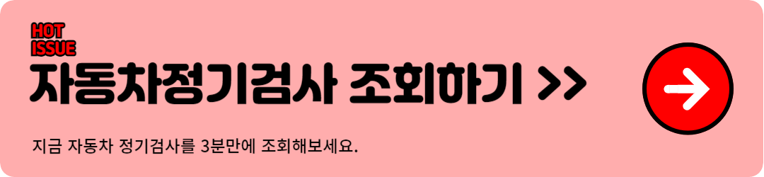 자동차정기검사 조회하기