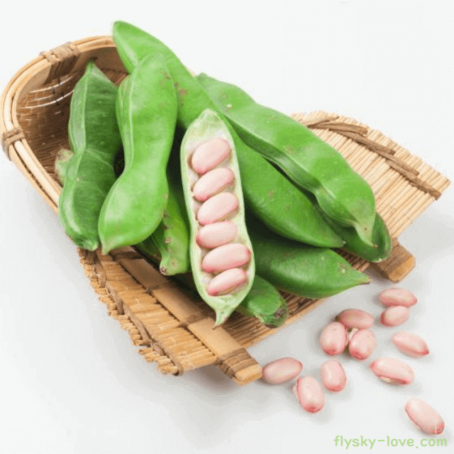 작두콩 효능
