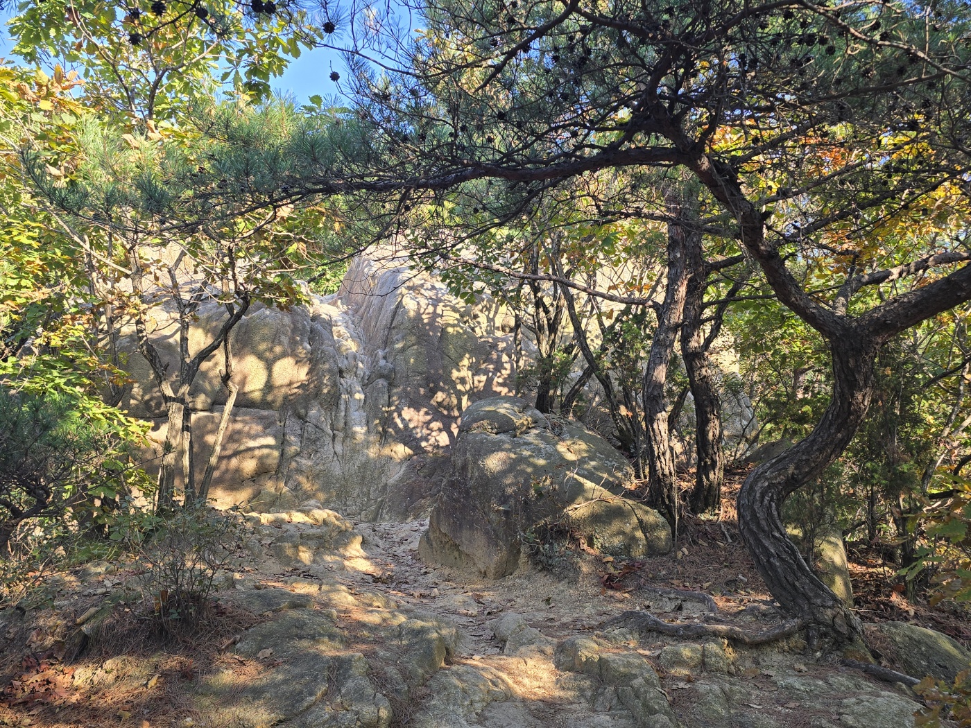 바위를 오르지말고 옆길로 돌아갈 수 있어요