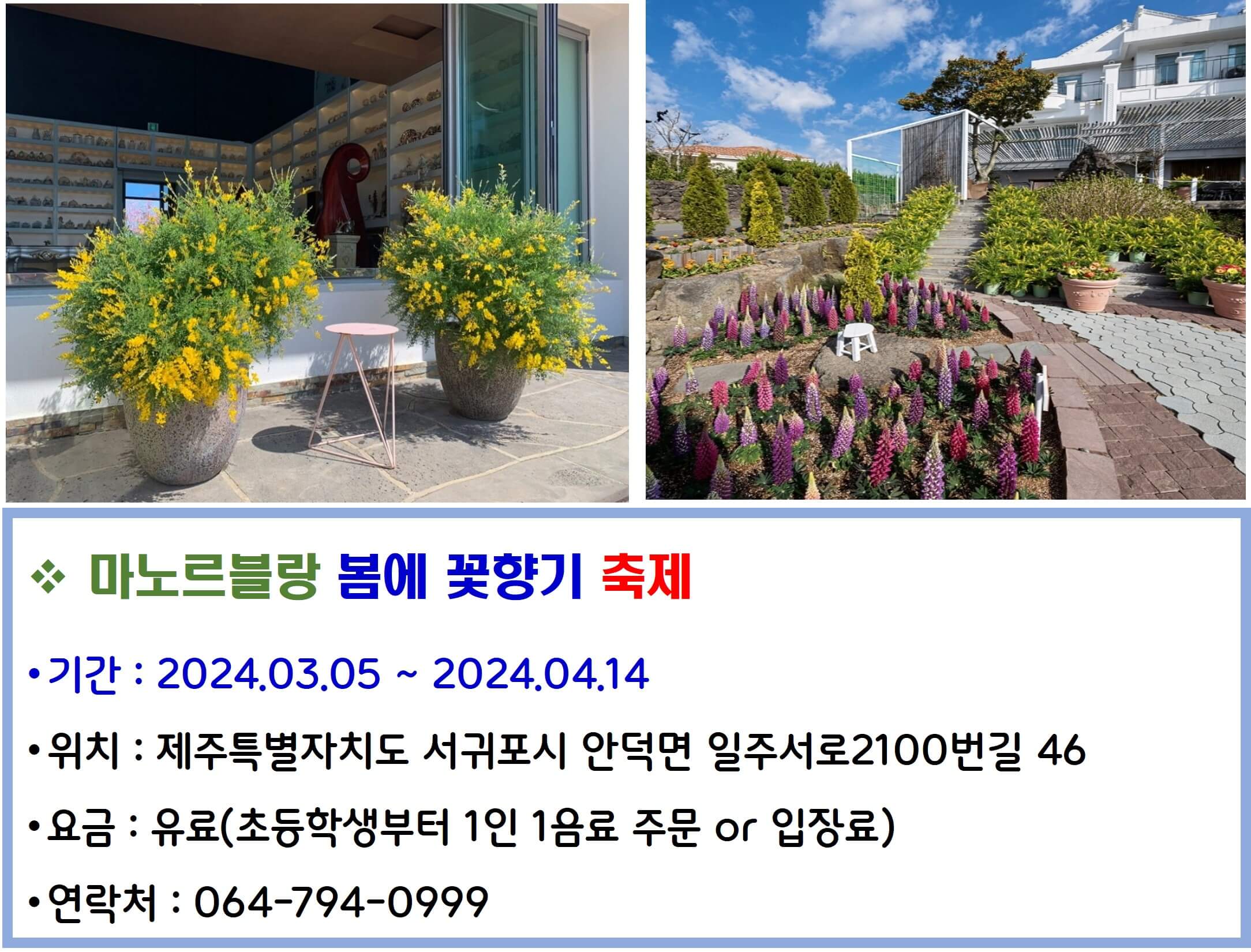 마노르블랑 봄에 꽃향기 축제