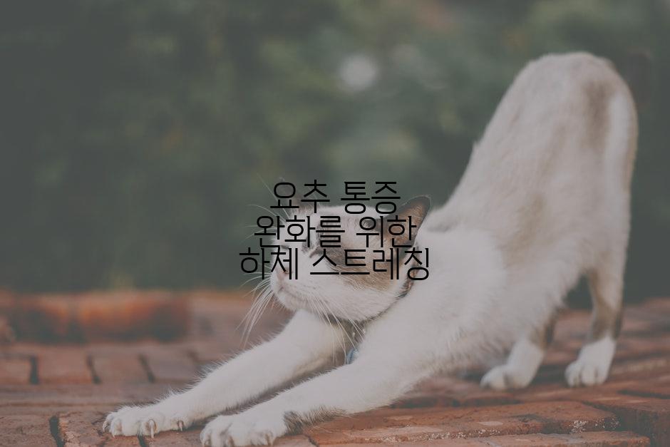 요추 통증 완화를 위한 하체 스트레칭