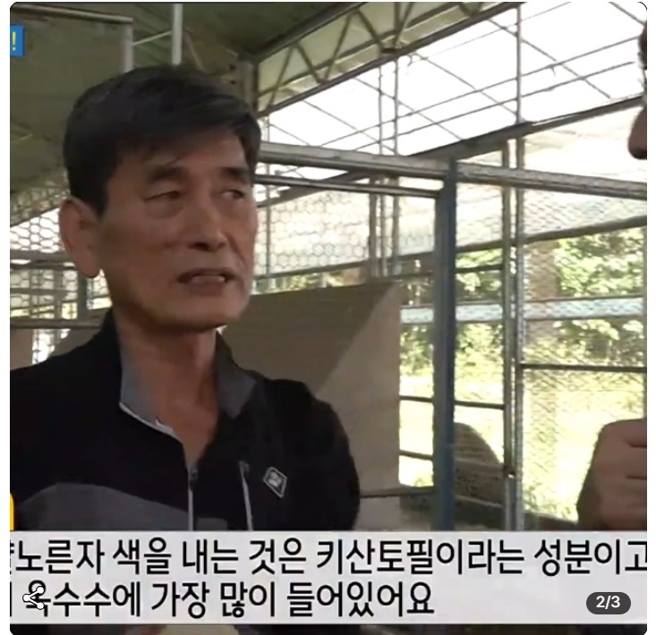 6시내고향-연천-유정란-유나네자연숲농장