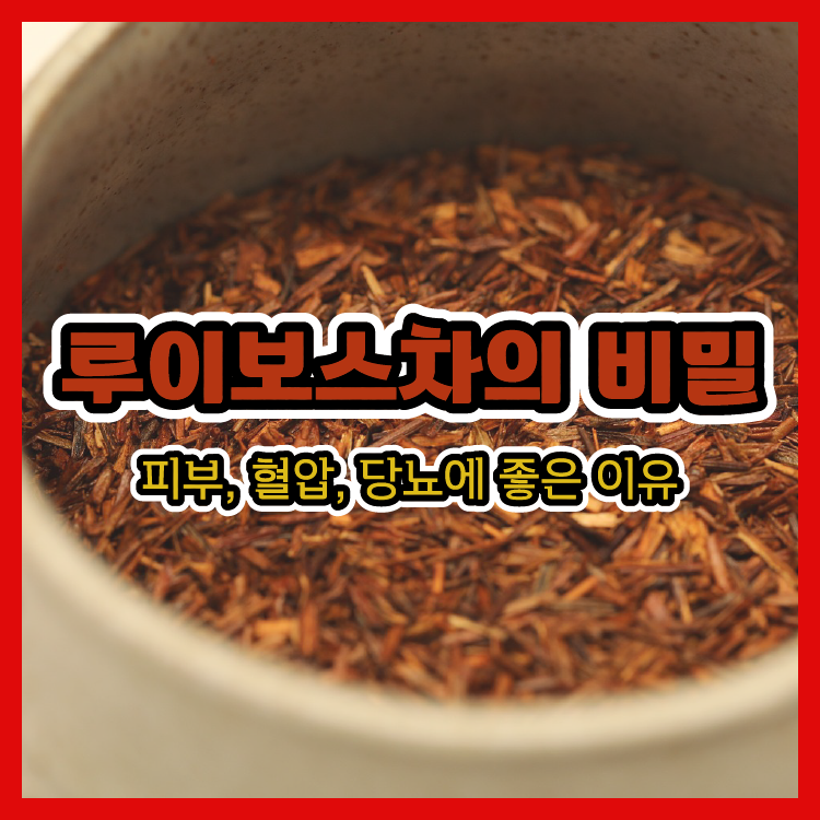 루이보스차의 비밀 - 피부, 혈압, 당뇨에 좋은 이유