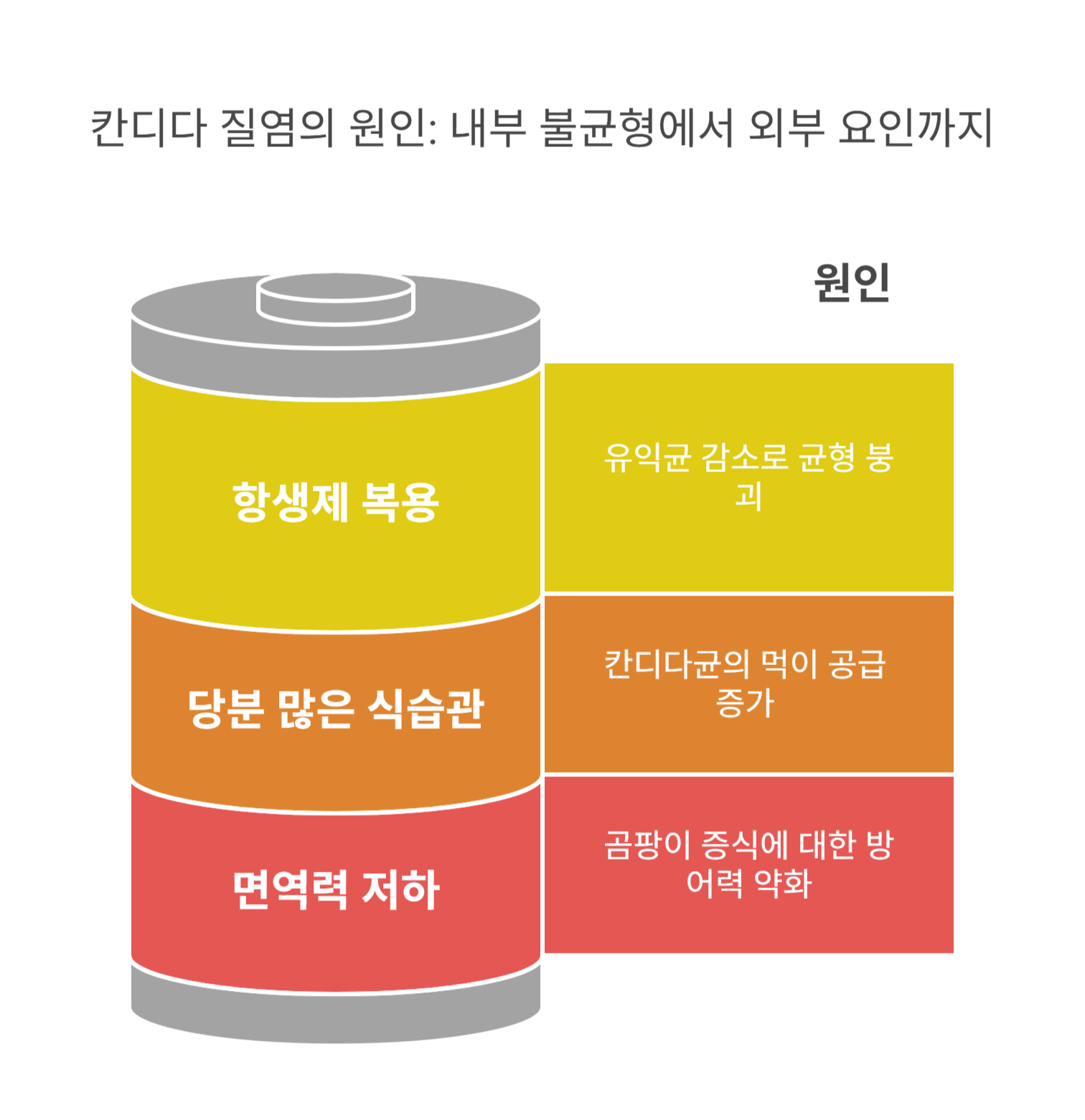 칸디다 질염이란? 원인부터 짚어봐요