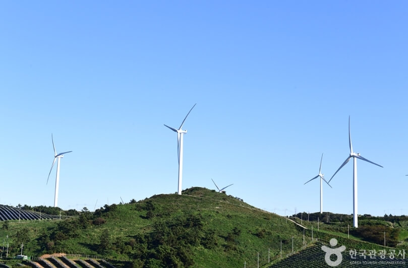 영암 가볼만한곳 베스트 10