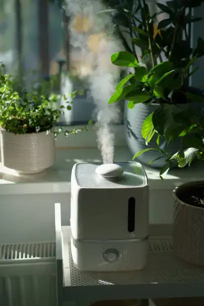 가습기 추천 TOP 6