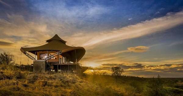 Mahali Mzuri, 케냐 (사진 출처: Masai Mara)